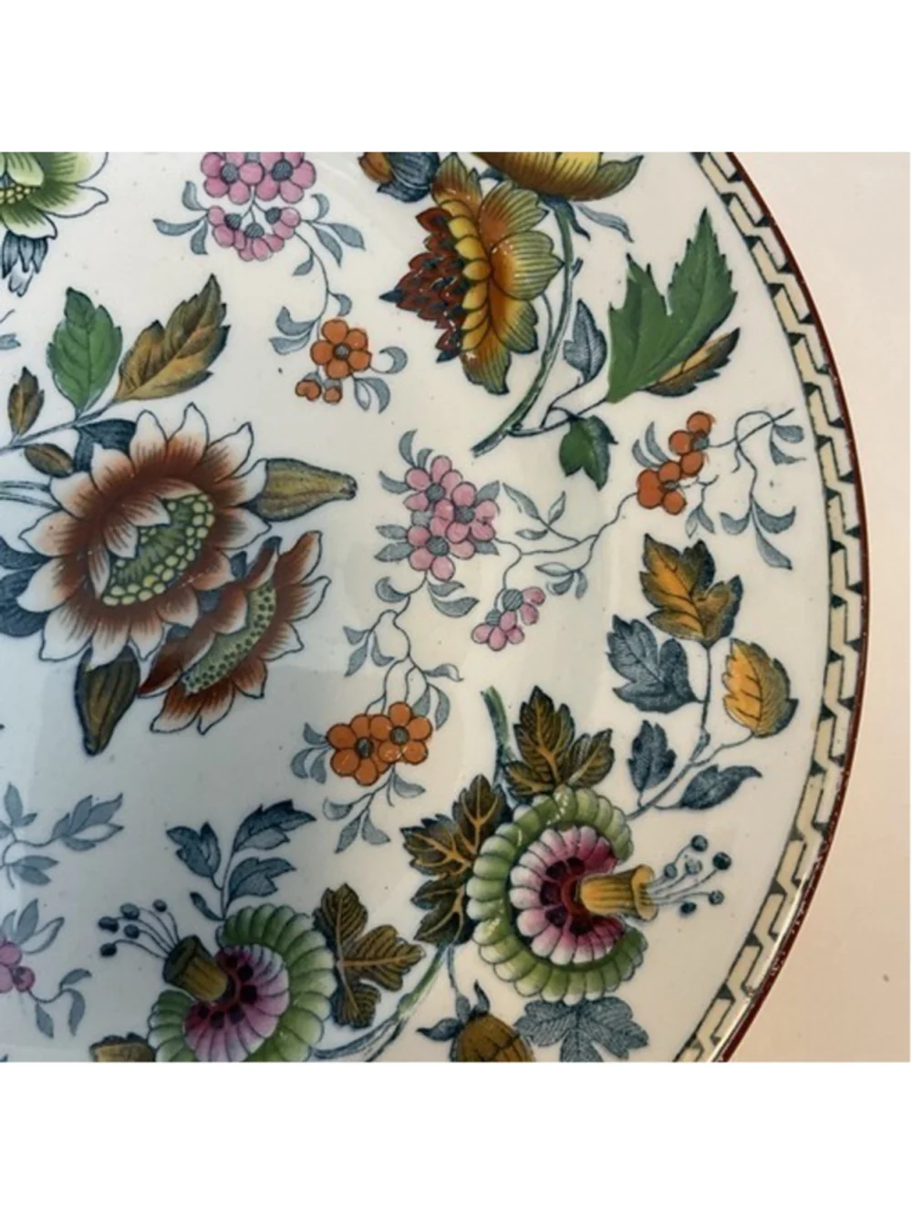 Vintage Wedgwood Tonquin Round Polychrome Floral Rare Early Antique Plate 10" - Picture 5 of 13